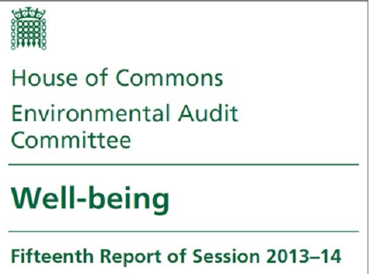 Government Publishes Response to the Environmental Audit Committee Inquiry on Wellbeing